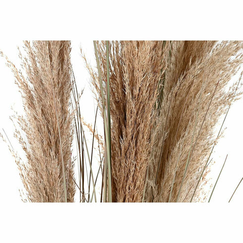 Planta Decorativa DKD Home Decor Metal Marrón claro PVC (45 x 45 x 150 cm)