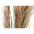 Planta Decorativa DKD Home Decor Metal Marrón claro PVC (45 x 45 x 150 cm)