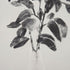 Lienzo Jarrón Flores 80 x 4 x 100 cm