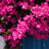 Lienzo Puerta 80 x 3,6 x 120 cm