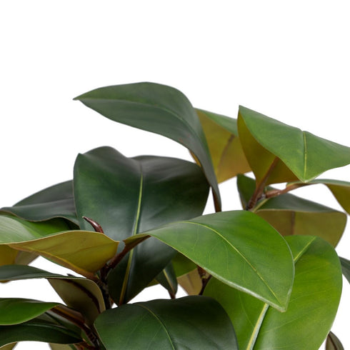 Planta Decorativa 45 x 47 x 64 cm Verde Caucho PVC