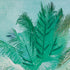 Lienzo 63 x 93 cm Palmera