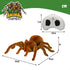 Araña Animal World 22,5 x 8 x 23,5 cm (2 Unidades)