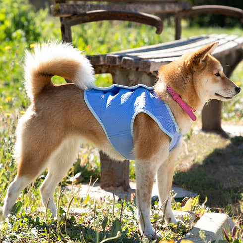 Chaleco para Perro InnovaGoods IG813888